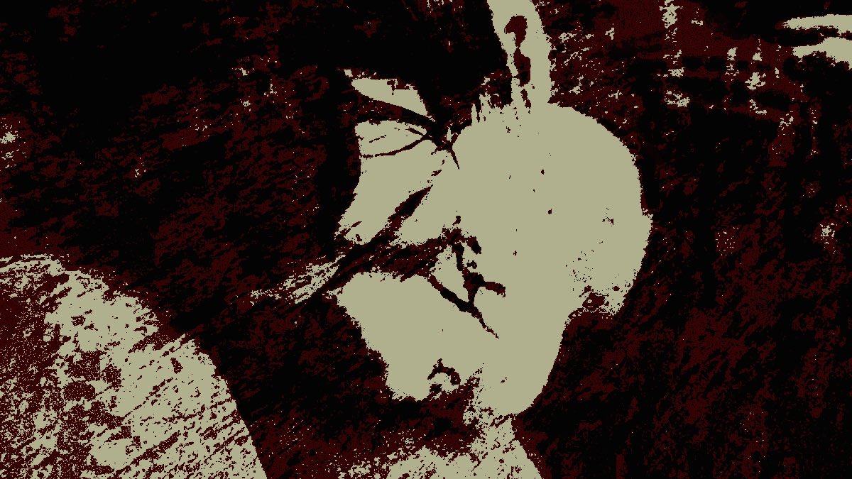 flayedspy's tweet photo. ⠀⠀
⠀⠀&amp;͟      …    ⠀⠀𝕿𝙷𝚁𝙴𝙰𝙳𝚂 .  ⠀⠀
⠀⠀ https://t.co/mQjzY8qfQW