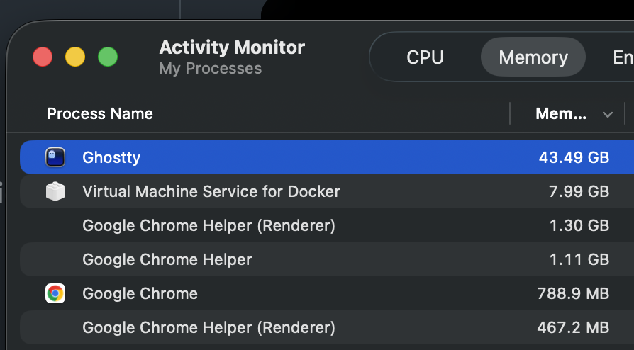 Activity Monitor 43GB