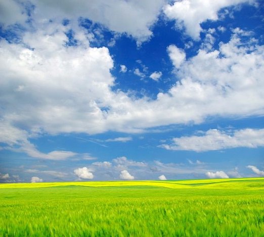 devilsowns's tweet image. 祖父が畑で採れた野菜を持ってきてくれた
今夜は野菜スープにしよう 🐍