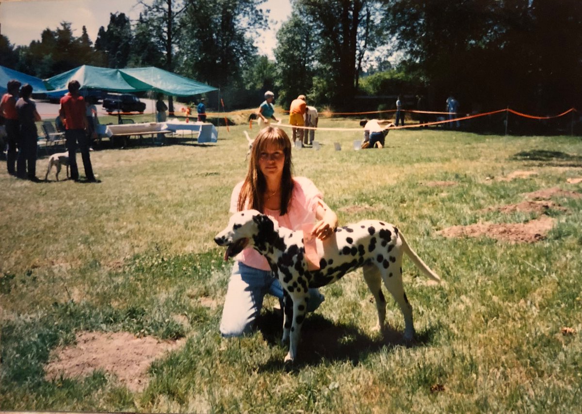 Myself showing our Dalmatian Hot Rod summer of 1987. He placed 1st that day. 🥇😎
He came from a long line of sires all named after cars. So the natural fit was Hot Rod. Roddy always laughed when we would call him on the ranch, wondering if the neighbors thought we were yelling