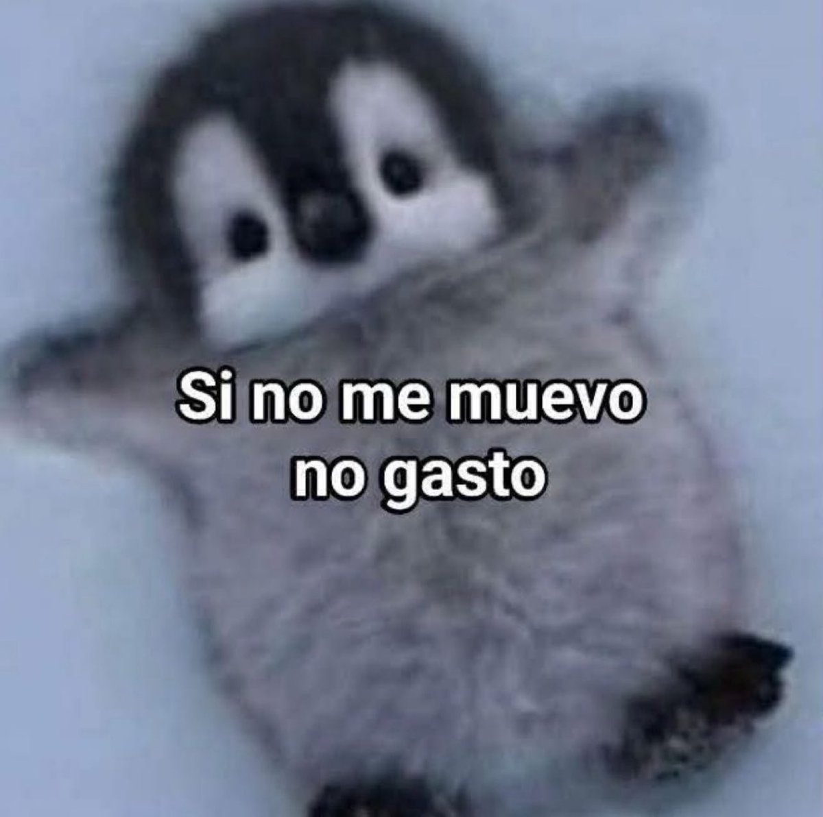 conoloracigarro's tweet photo. https://t.co/dxeYRvlFYL