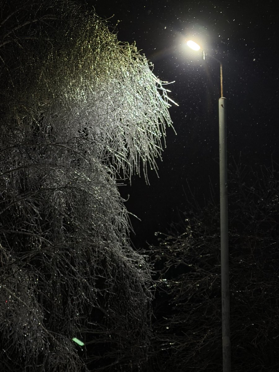 Вибачте, але я сьогодні холодойоб