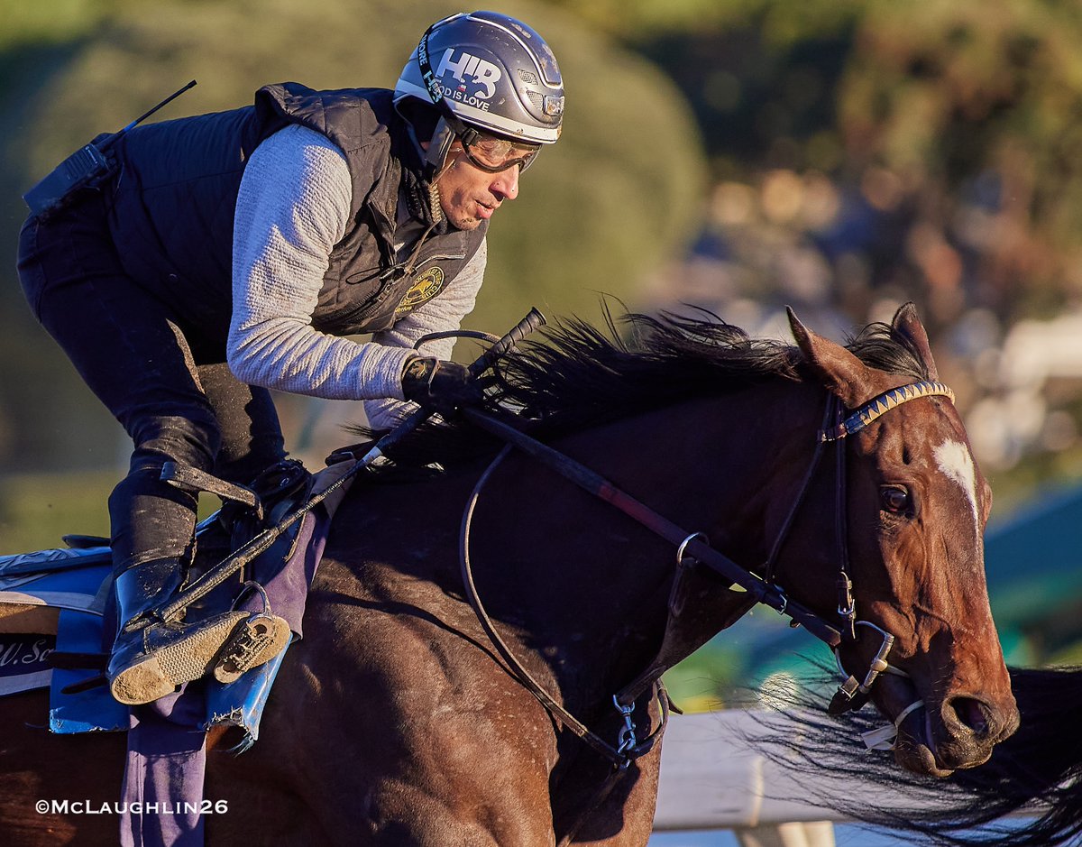 kimo16's tweet image. Bullet 5F in 59.20 for Super Corredora under Hector Berrios for trainer John Sadler this morning @santaanitapark @westpointtbred @sadlerracing @HIBerrios