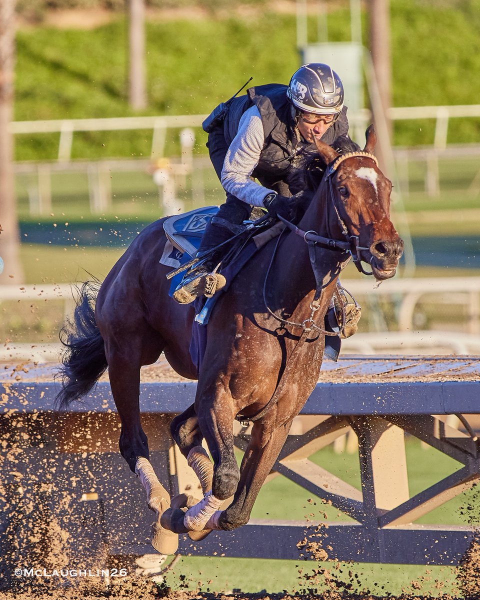 kimo16's tweet image. Bullet 5F in 59.20 for Super Corredora under Hector Berrios for trainer John Sadler this morning @santaanitapark @westpointtbred @sadlerracing @HIBerrios