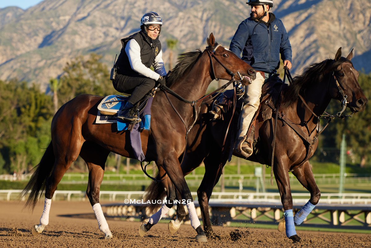 kimo16's tweet image. Bullet 5F in 59.20 for Super Corredora under Hector Berrios for trainer John Sadler this morning @santaanitapark @westpointtbred @sadlerracing @HIBerrios