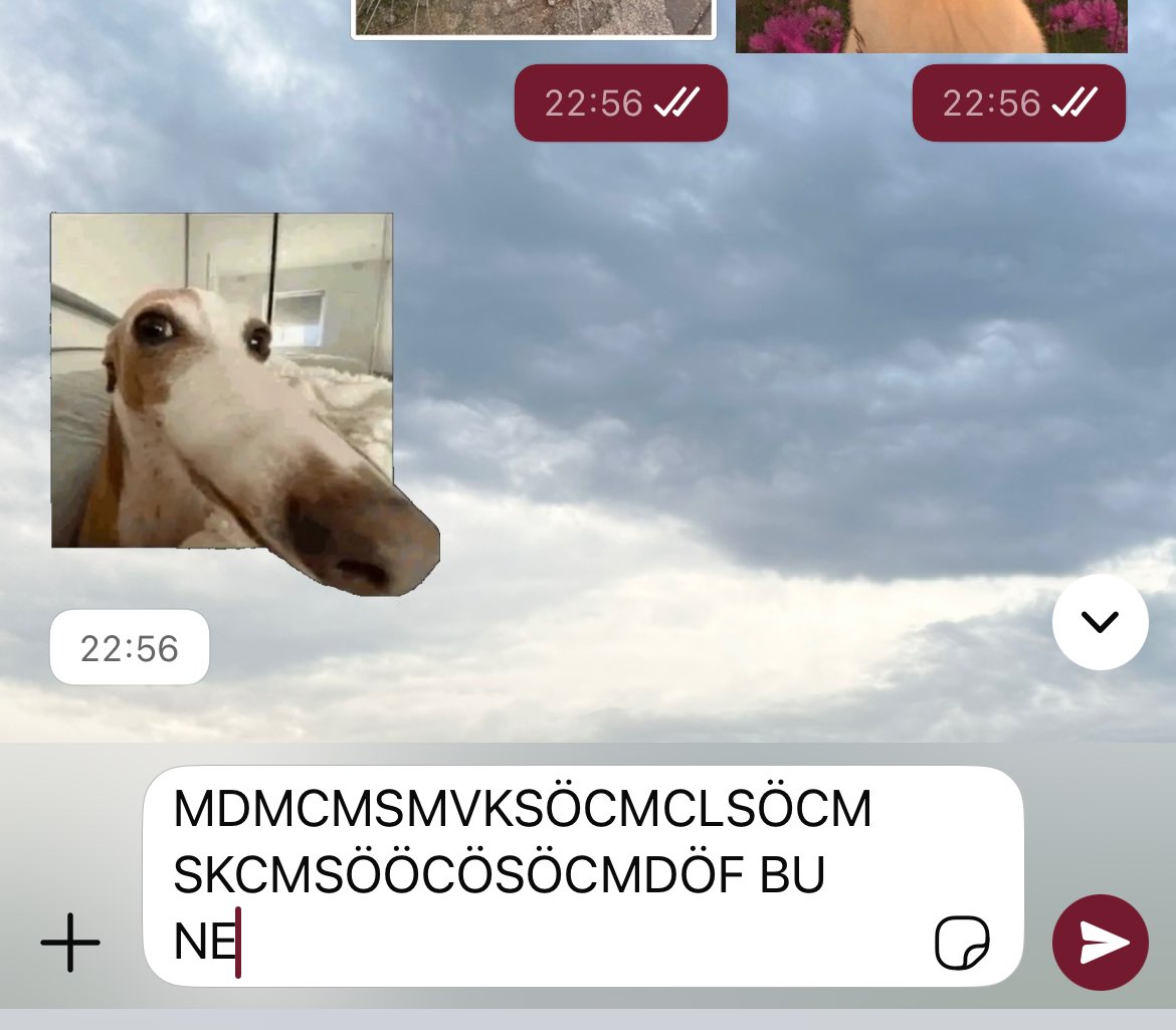 çıkartma gurmesi olarak bayıldım