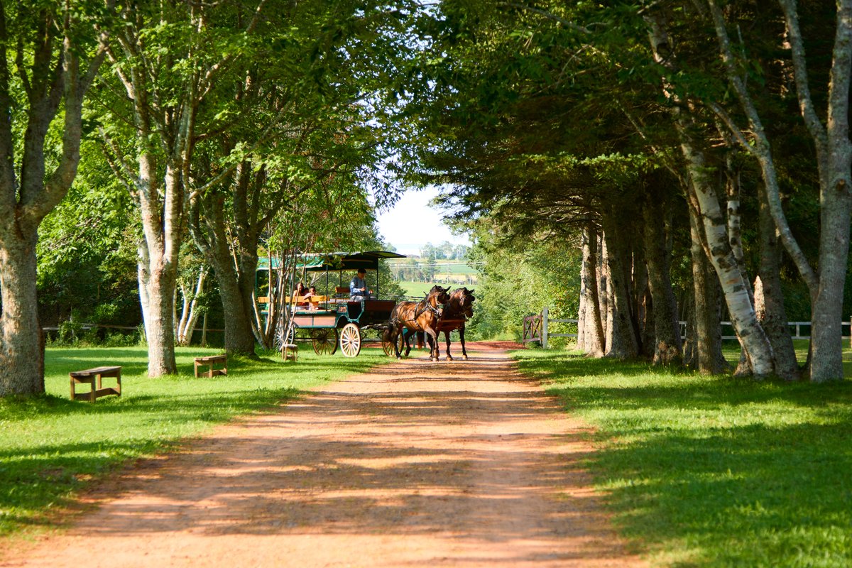 Golf Prince Edward Island tweet media
