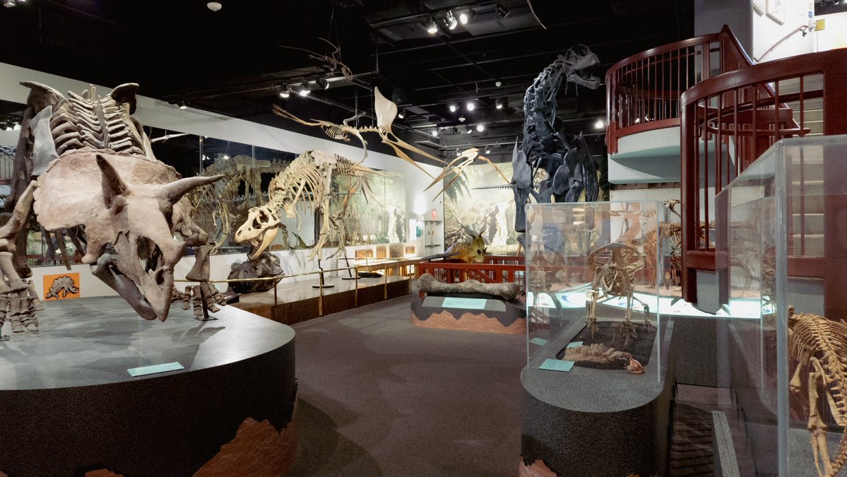 AZMNH's tweet image. A little light paleontological reading for your weekend. This article discusses a massive bonebed located in Canada. It highlights just how many dinosaur and megafauna fossils have been discovered. The number is in the millions worldwide, providing scientists with a staggering…