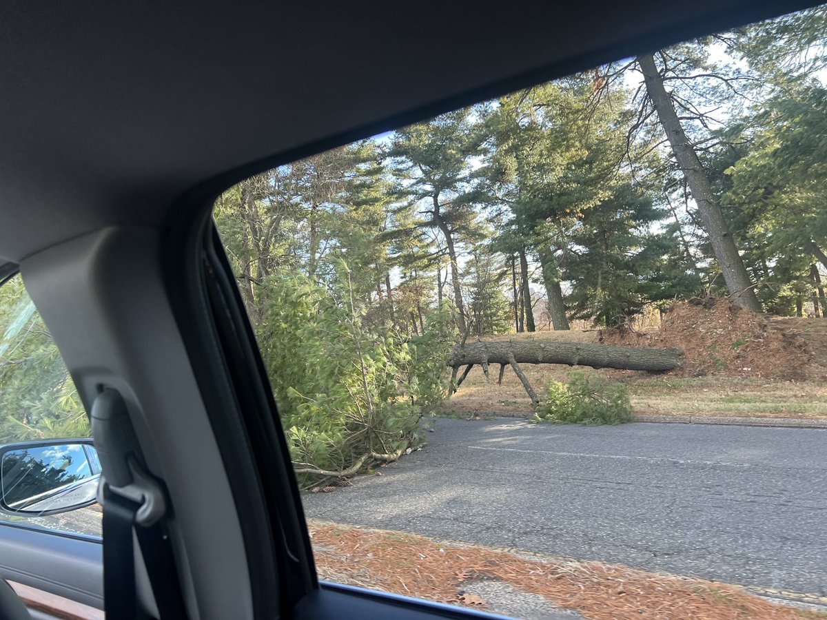 Rob Engstrom tweet media