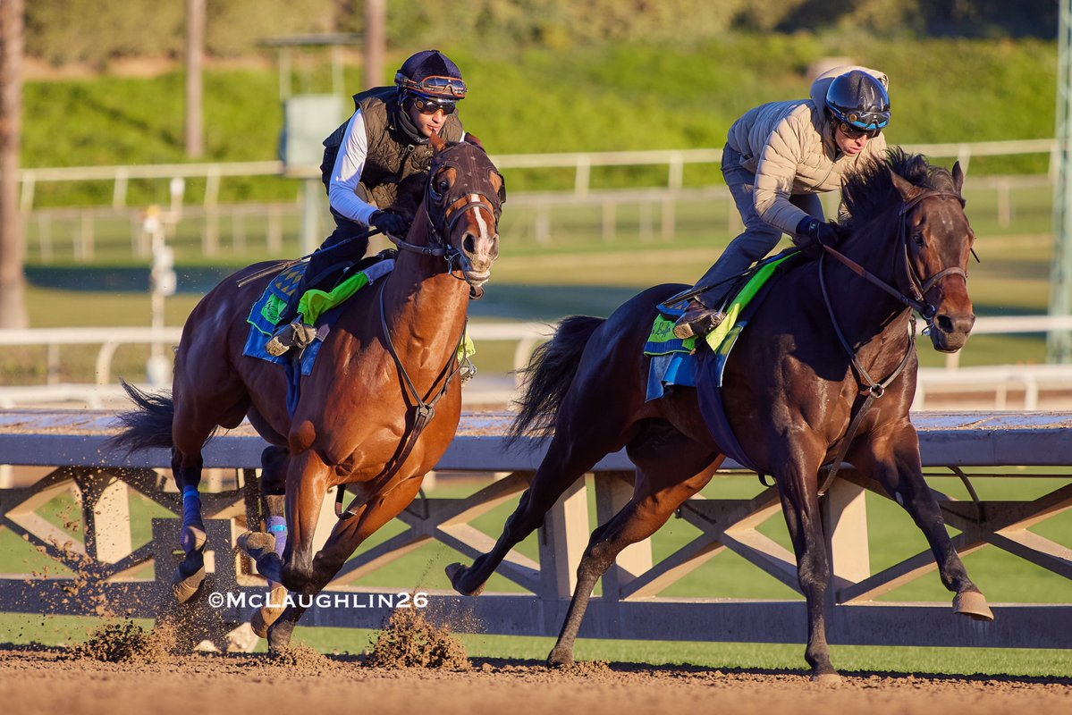 kimo16's tweet image. Shared bullet half in 46.40 for Kristofferson under Juan Hernandez working inside of Potente with Abdul Alsagoor up for HoF trainer Bob Baffert this morning @santaanitapark @StarlightRacing @BobBaffert @JJHernandezS19 @QusoorAl