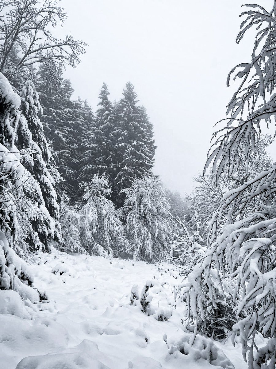 fallait pas oublier les raquettes