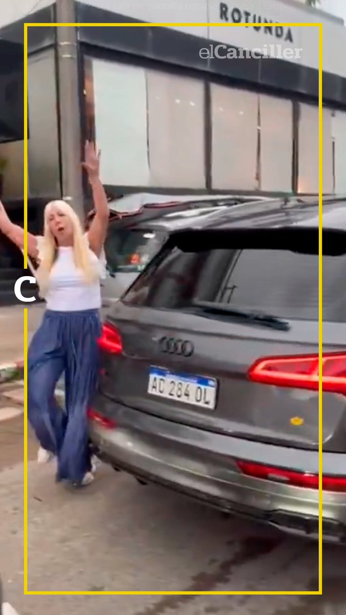 elcancillercom's tweet image. [AHORA] La argentina que se bajó de su camioneta Audi con un bate de béisbol en Punta del Este tiene $12 millones de deuda en multas impagas.