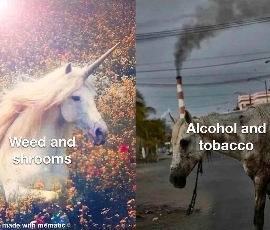 stoneythings's tweet image. 