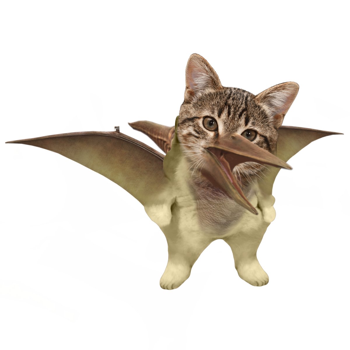 <a href="/slayerofmoskali/">Fellarinasaurus Bonk</a> <a href="/fellarequests/">fella requests</a> <a href="/9_tellthetruth/">tellthetruth 🪷🐻🦀🕯️🇺🇦🇬🇪🇸🇩🇬🇱🇨🇦🇲🇽🇹🇼</a> Thank you all! Now, I'm not sure how I feel about this one, so let me know if you want changes on him. Enjoy your fella-cat-pterosaur chimera!