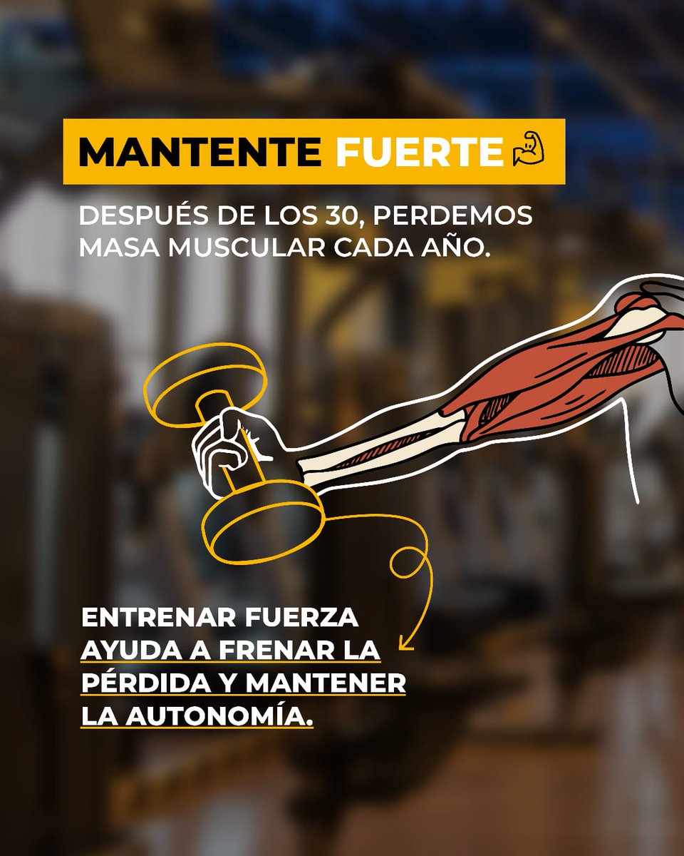 SmartFitMx's tweet photo. Siempre hay más razones y beneficios de ir al gym 💛

Pásate por cualquiera de nuestros más de 400 gyms en México y construye músculos 😎🔥 https://t.co/9HBHJPzhs7