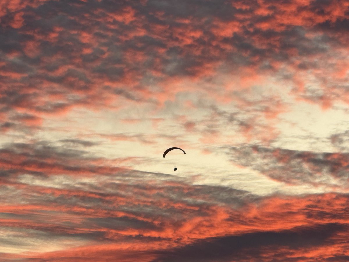 grant!!! tweet media