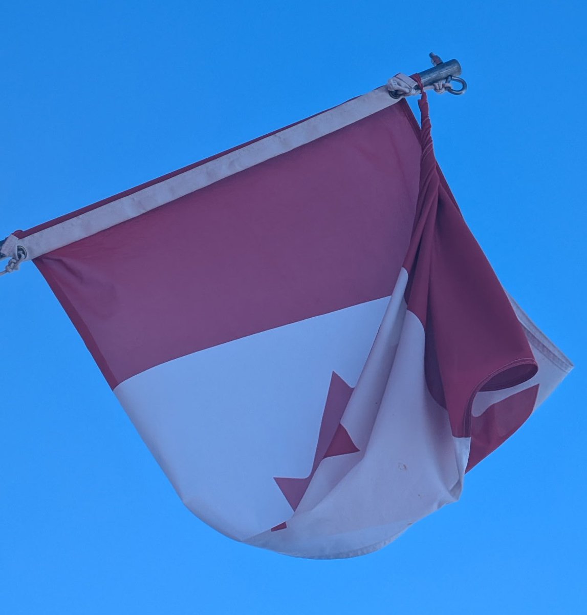 Dry Bean World Inc tweet media