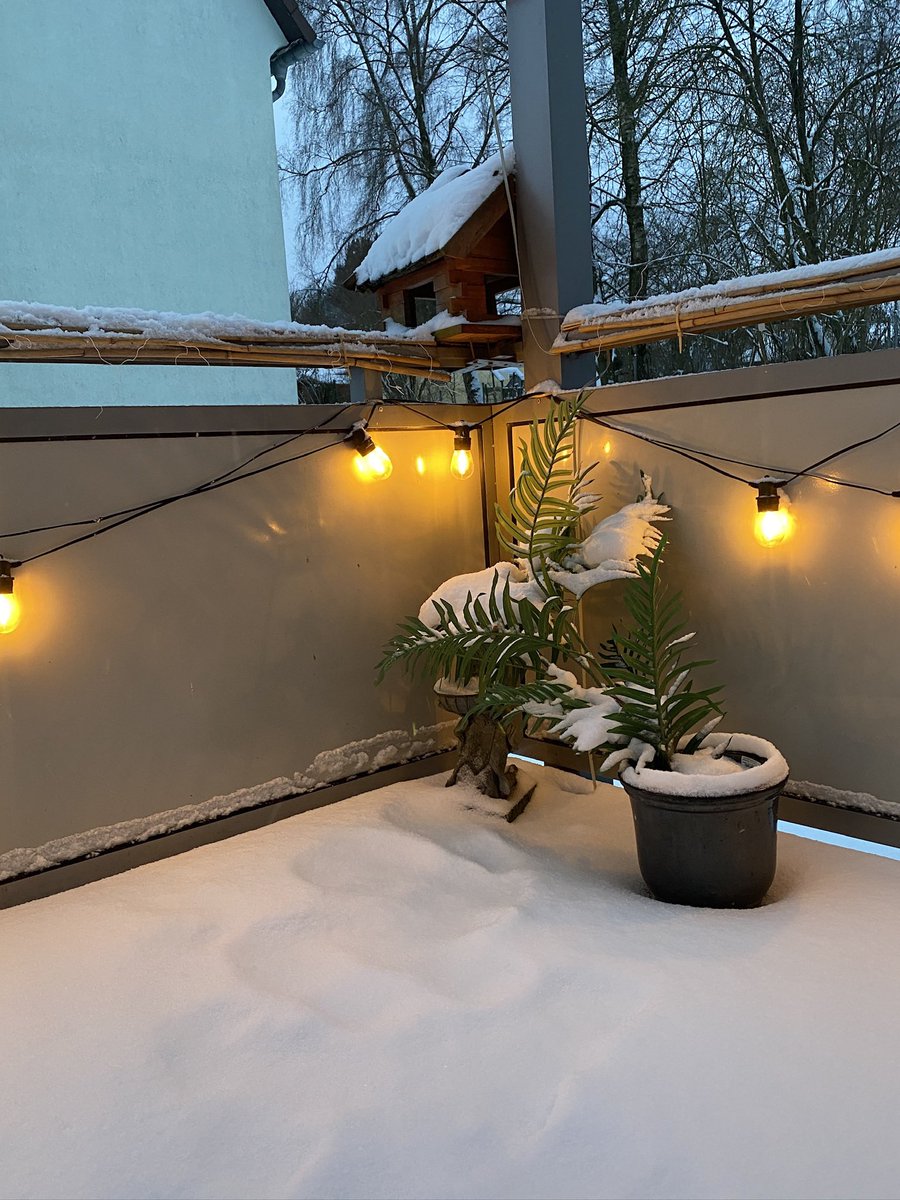 Evening mood 
#evening #snow #winter