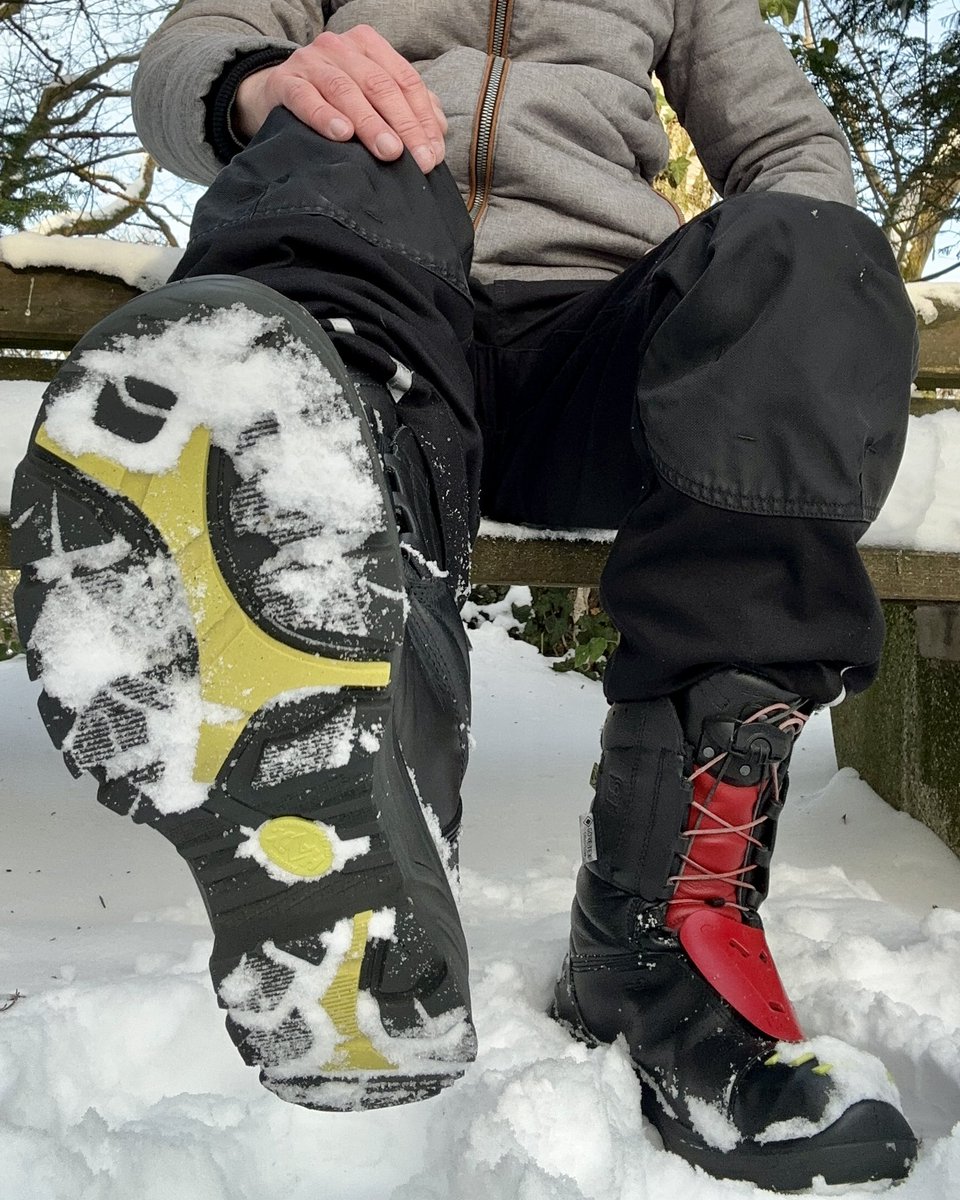 FoxyBound tweet media