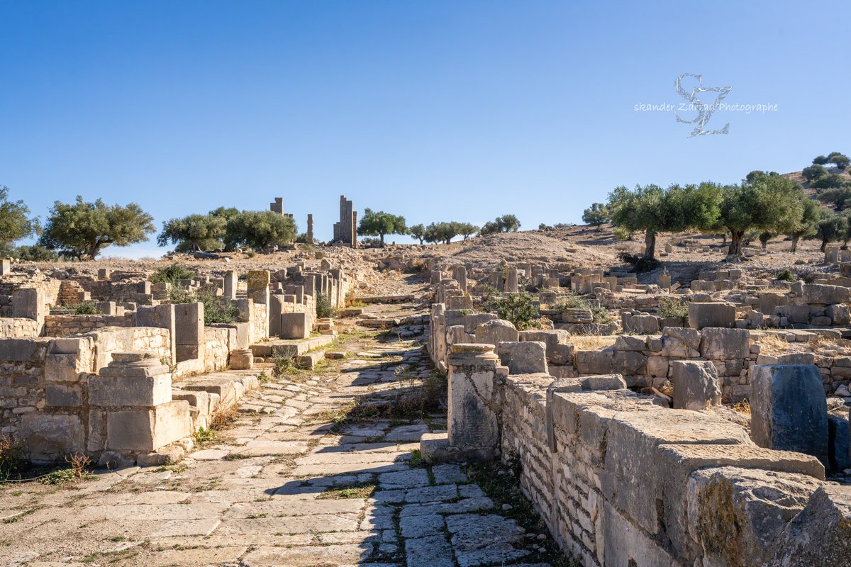 AfrikyaTN's tweet photo. From there, we lost ourselves to a brief yet meditative time travel down a small #street from the past towards evergreen olive trees, here in #Byzantine Ain Tounga explored and captured by @SkanderZ268 in north-eastern #Tunisia https://t.co/mmNwZwz0gb