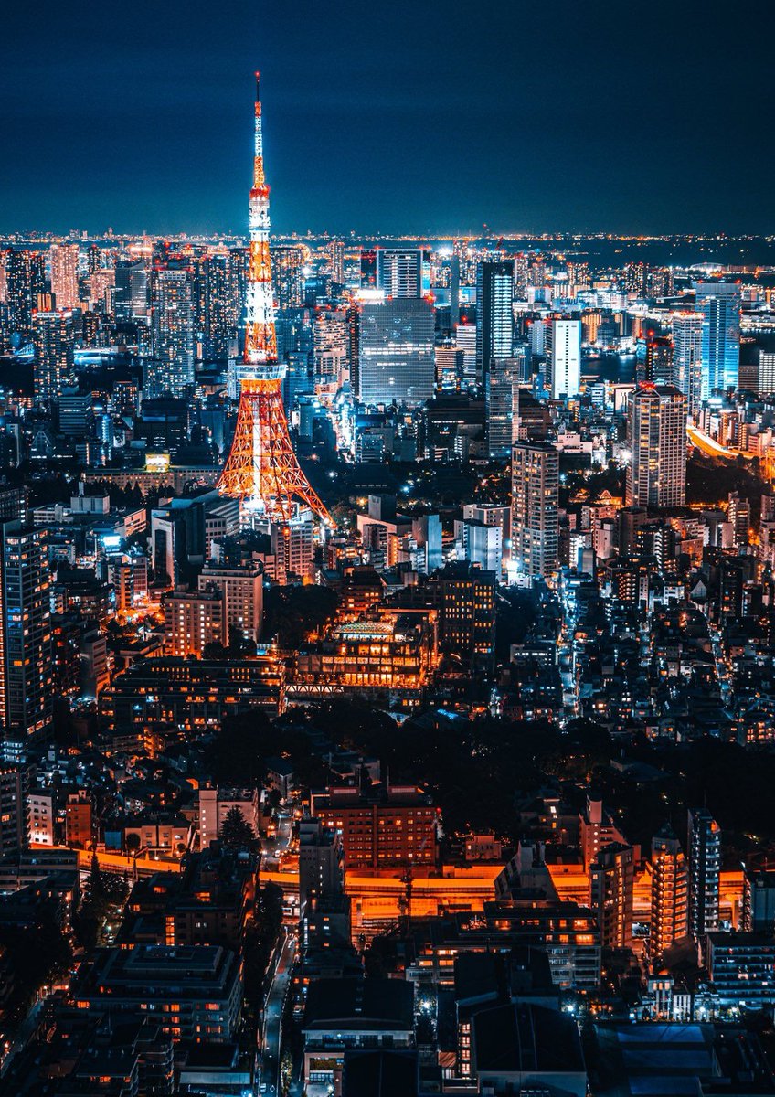 MsBuzzbee's tweet image. 新作ボードゲームのルール動画見てるけど、30分経っても理解できない 🐙