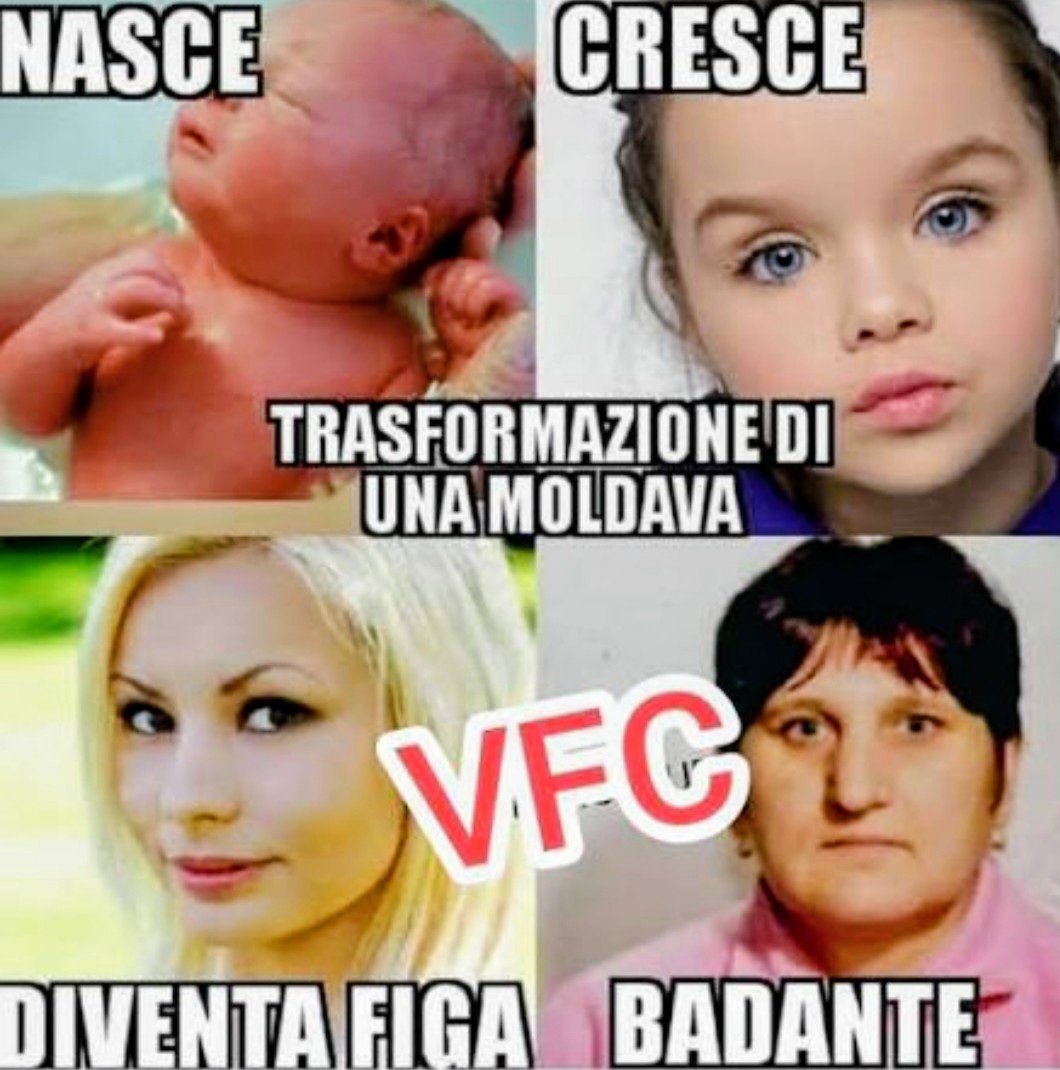 Maury Milf tweet media