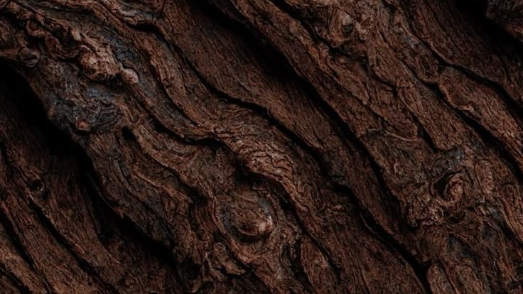 cacaomarias's tweet image. Você já é rica. Você já tem o emprego dos seus sonhos. Você já tem o corpo dos seus sonhos. Você já tem aquele relacionamento. Você já é incrível. Você já é famosa. Você já tem a casa dos seus sonhos. Você já tem o guarda-roupa dos seus sonhos. Você já é essa garota.