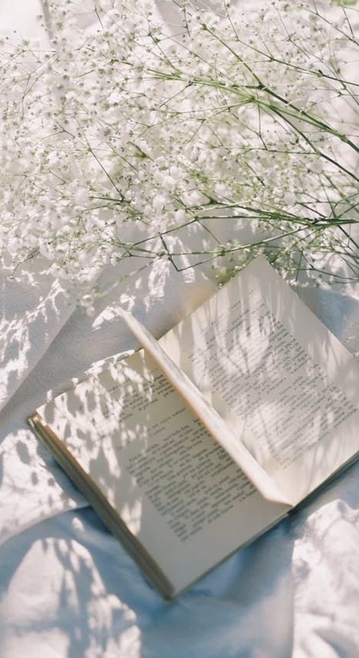 TMickert's tweet image. 彼氏が急に花を買ってきてくれた
理由を聞いても「なんとなく」って言うから余計に嬉しい 🖕