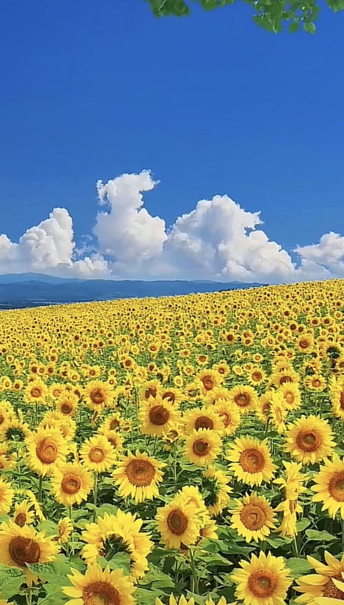 mudmud11's tweet image. 今日は調子悪くて何やってもうまくいかない感じ 🧎‍♂️