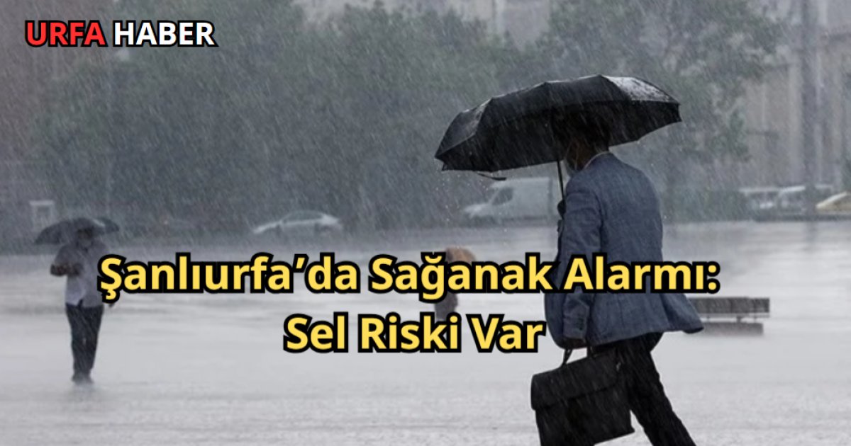 Urfa Haber tweet media