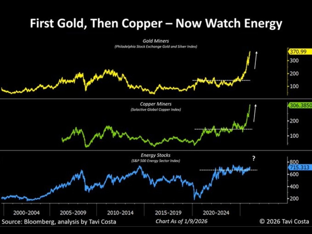 FIAT Bear 🐻🇸🇪 tweet media