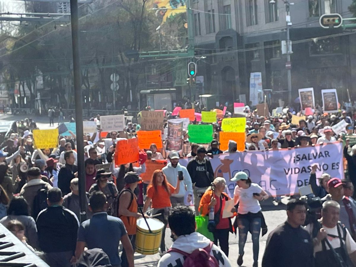 MVSNoticias's tweet image. Animalistas de diversas partes del Valle de México que apoyan al @rfranciscano arribaron a la Plaza de la Constitución donde exigen a la jefa de gobierno, @ClaraBrugadaM que devuelva los más de mil perros y gatos que sacaron del refugio la semana pasada. Fotos y Videos: MVS…