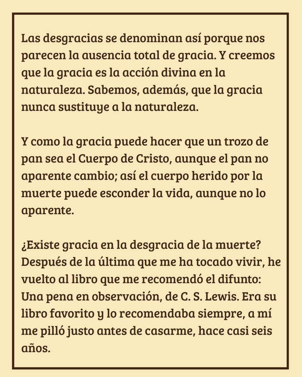 Viejo Café tweet media