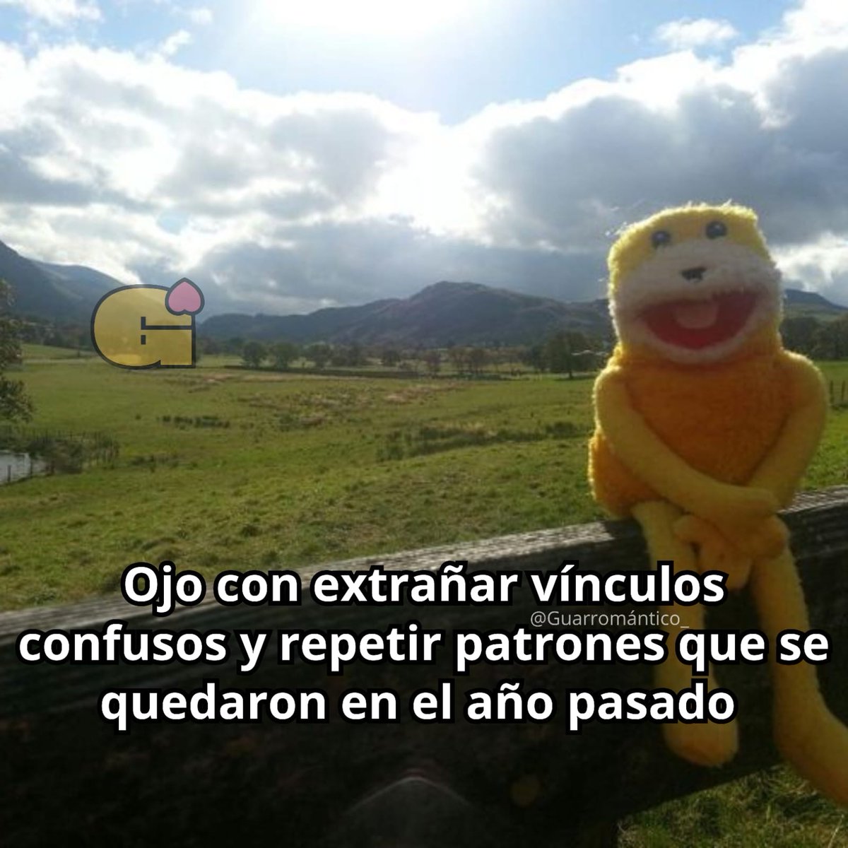 El Guarromántico tweet media