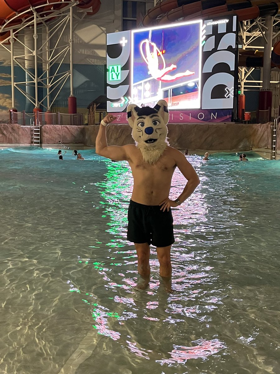 ForteTX's tweet image. foxin’ around the biggest indoor waterpark in Texas 🦊💦 

📸: @dragonsapphic