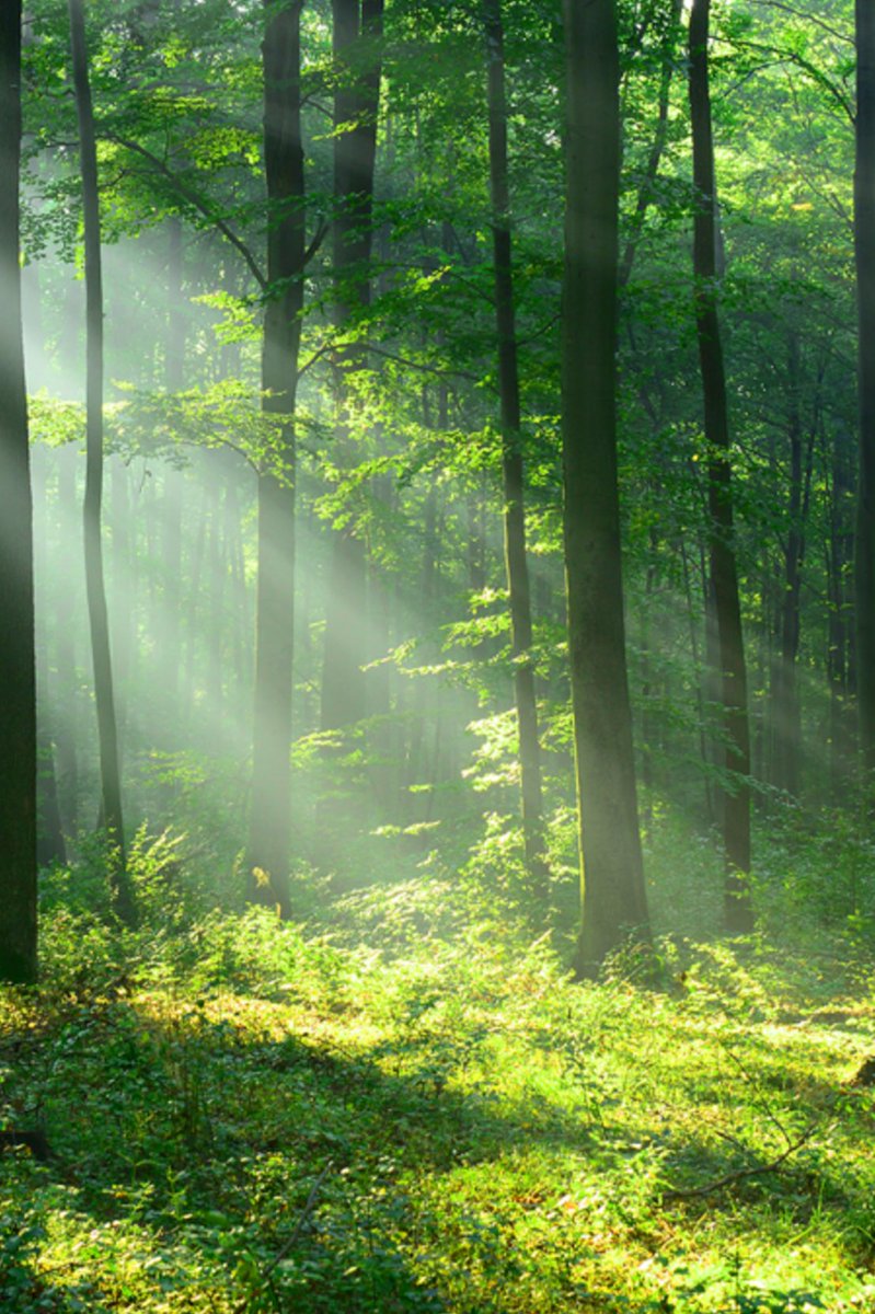 Reichpuppet's tweet image. 今週5日連続コンビニ弁当で栄養バランス崩れそう 😵