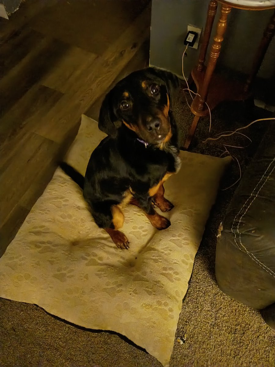 CainStonedAbel tweet media