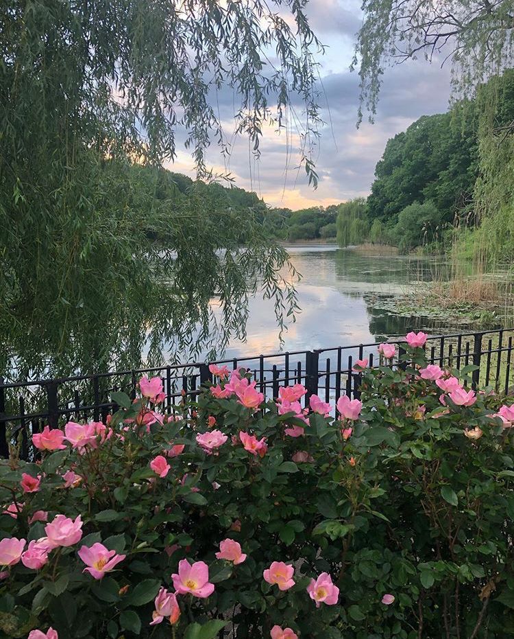 greenvibe's tweet image. 