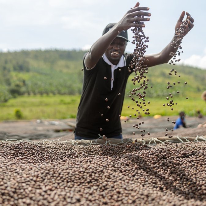 ANDREW ROLAND OBOSU tweet media