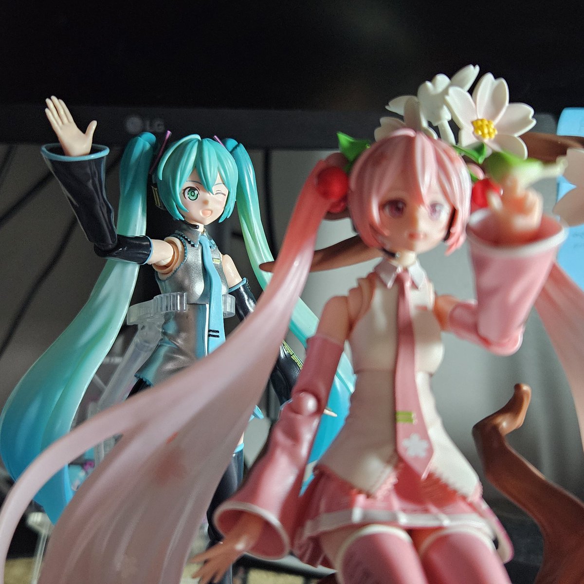 Tenko 📷 🩵 tweet media