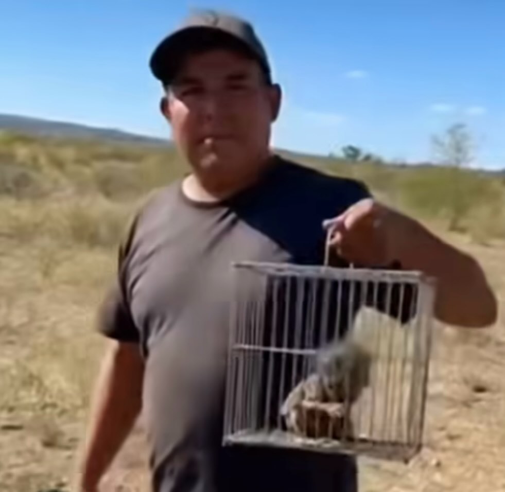 2Josher's tweet image. 