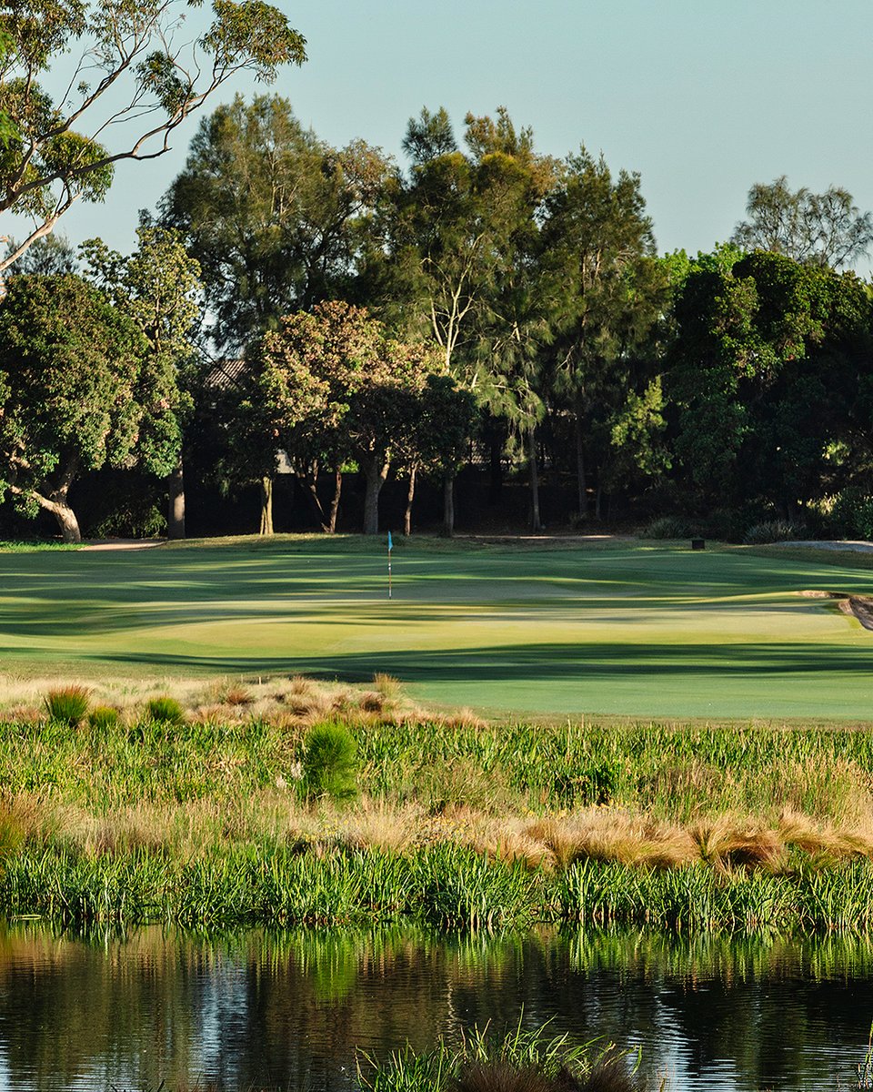 Commonwealth Golf Club tweet media