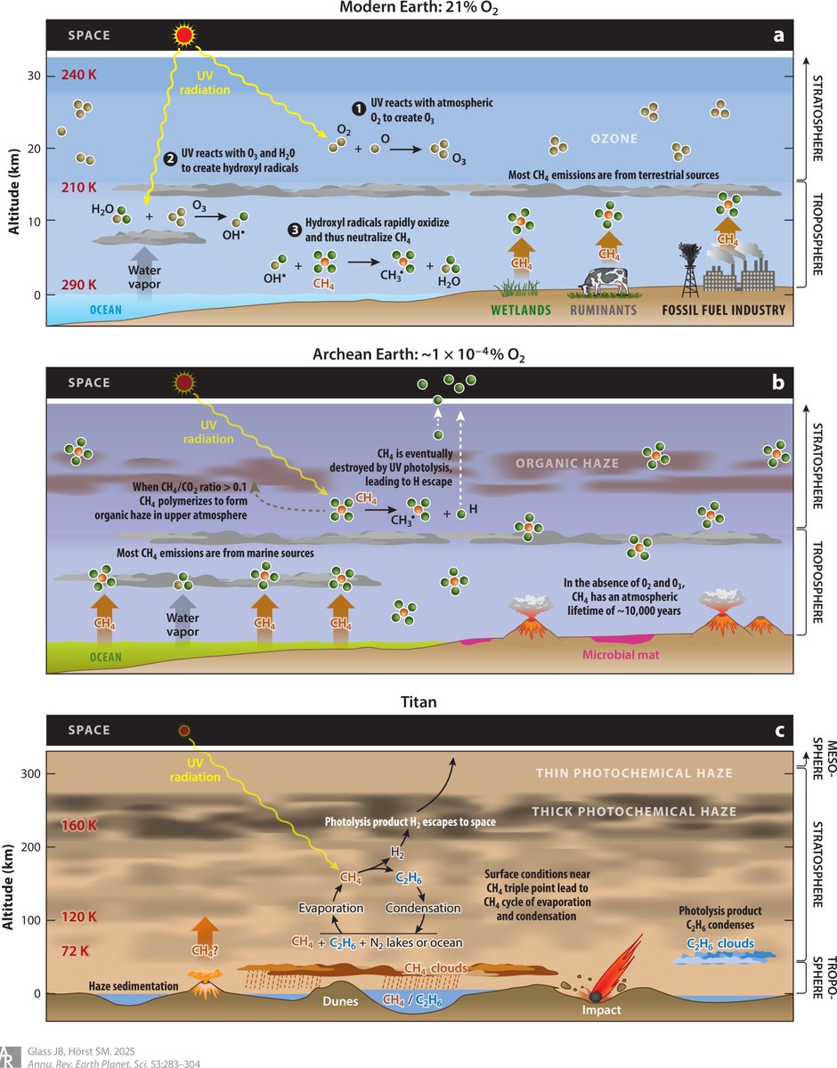 The Once and Future Gas: Methane's Multifunctional Roles in Earth's Evolution and Potential as a Biosignature
#methane #methanogens #evolution
doi.org/10.1146/annure…