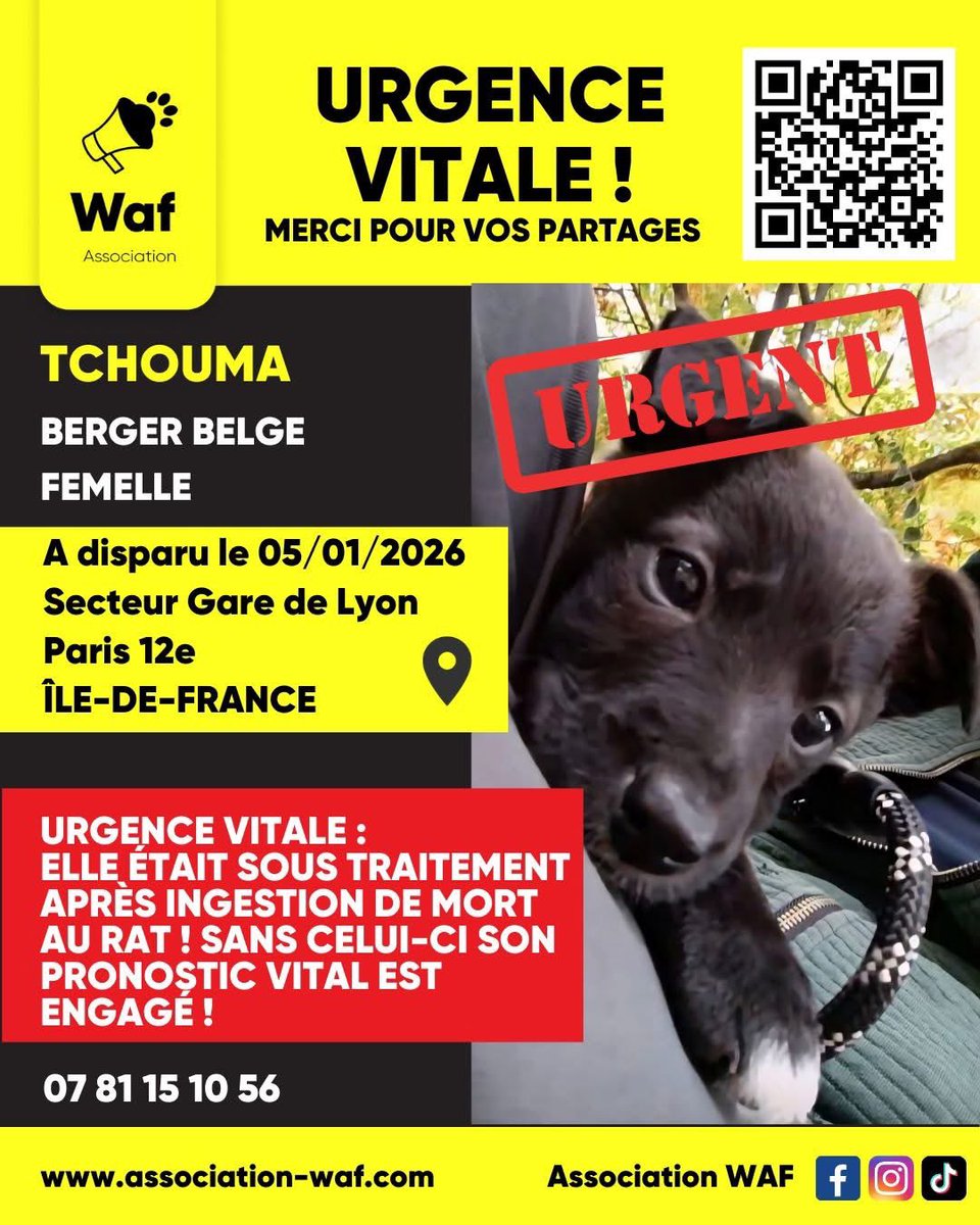 collectif_bois's tweet image. 