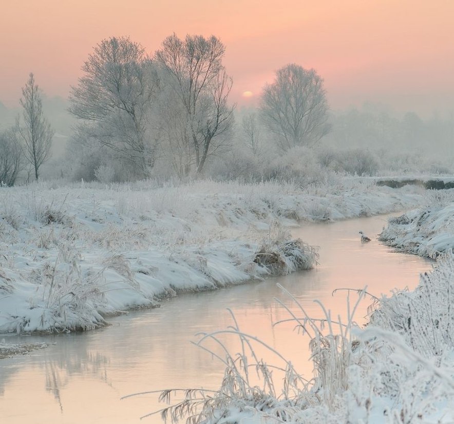 truth04's tweet image. 電車の中で本を読んでたら、気になる続きが読みたくて駅を通り過ぎそうになった 🤭