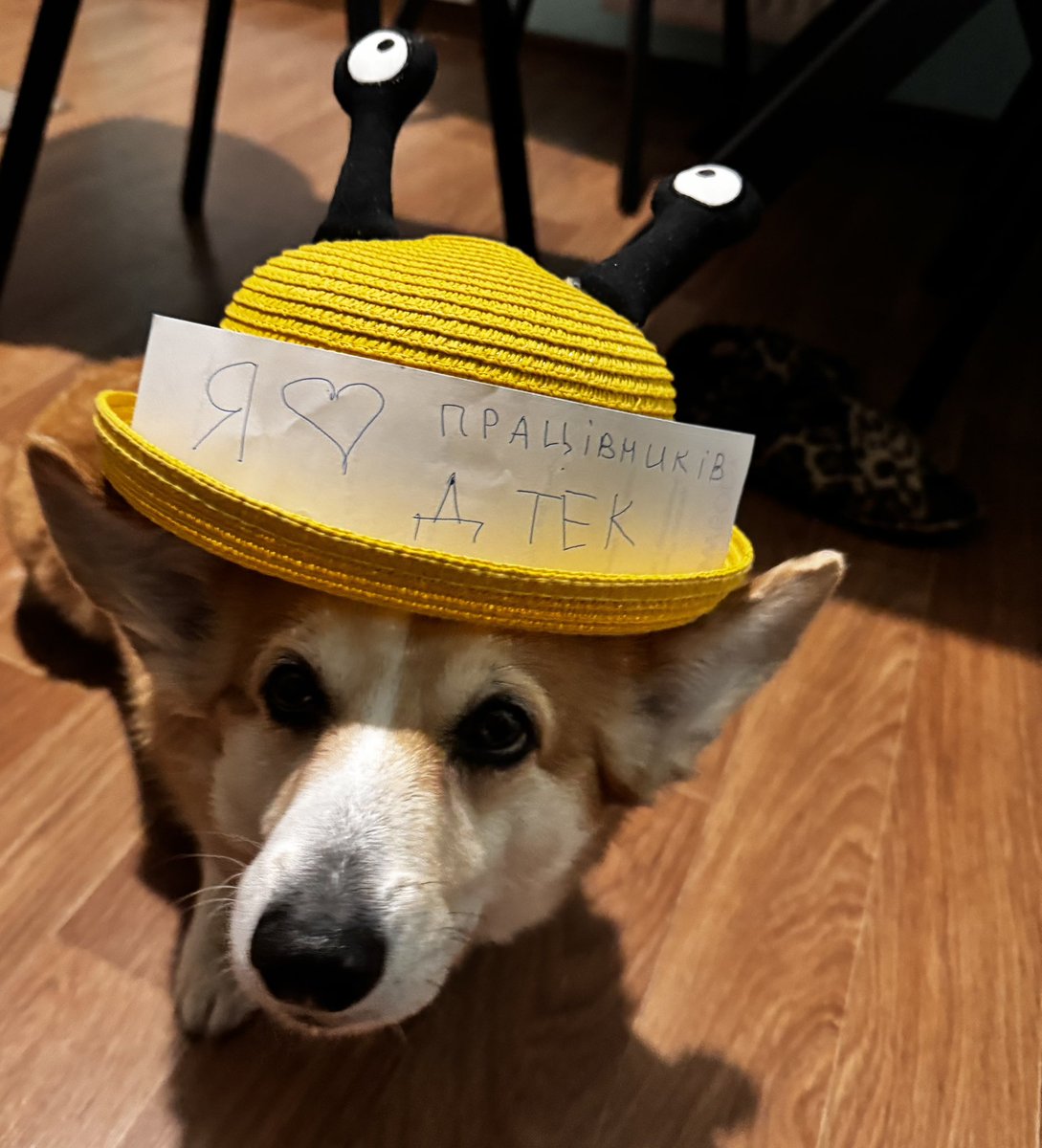 СВІТЛООООО 🥳🥳🥳