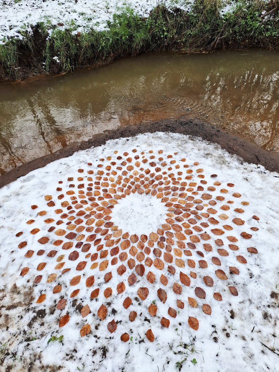 Tim Pugh tweet media