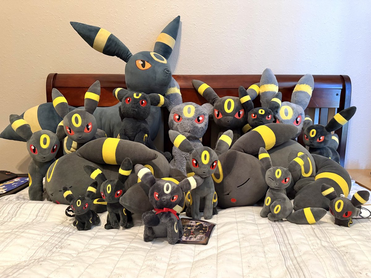 シンダリッテン tweet media