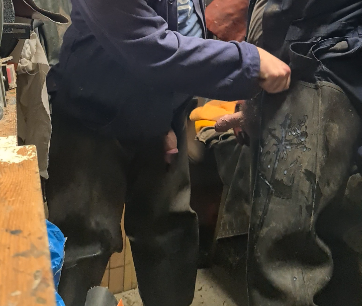 gayworkie 🔞 tweet media