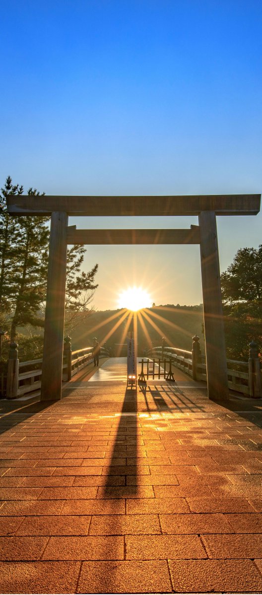 kyator's tweet image. 新しいバイト覚えることが多くて頭パンクしそう 🧈